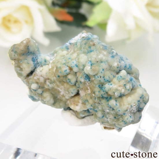 ʻ ٥饤Ȥθ No.1μ̿0 cute stone