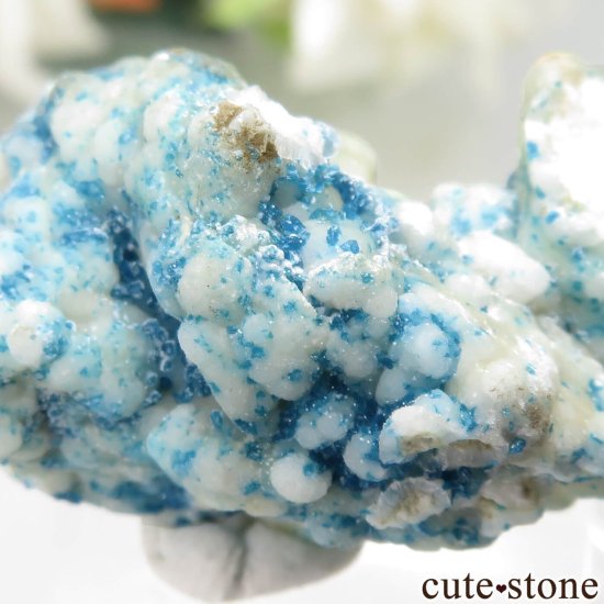 ʻ ٥饤Ȥθ No.1μ̿1 cute stone