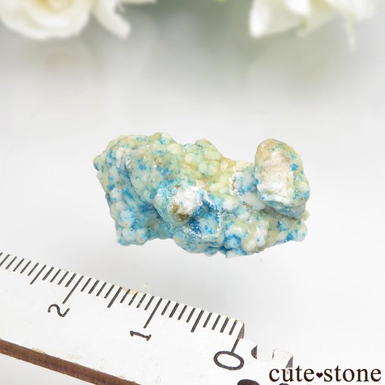 ʻ ٥饤Ȥθ No.1μ̿2 cute stone