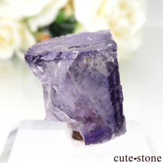 ᥭ Ojuela Mine (ϥ) ե饤Ȥθ No.13μ̿0 cute stone