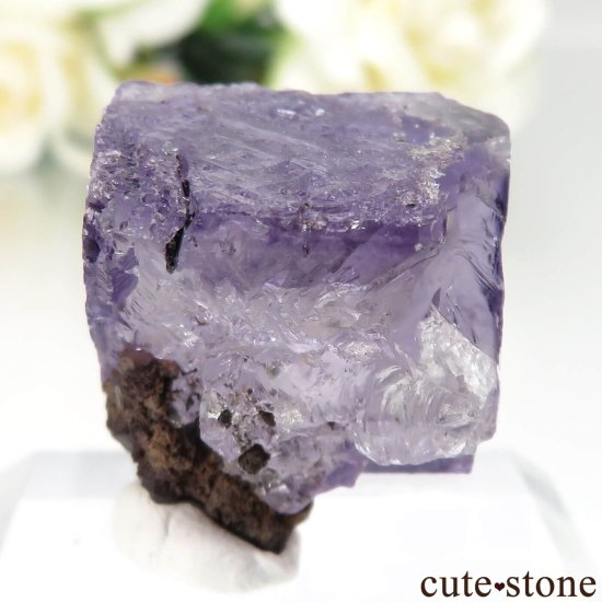 ᥭ Ojuela Mine (ϥ) ե饤Ȥθ No.13μ̿1 cute stone