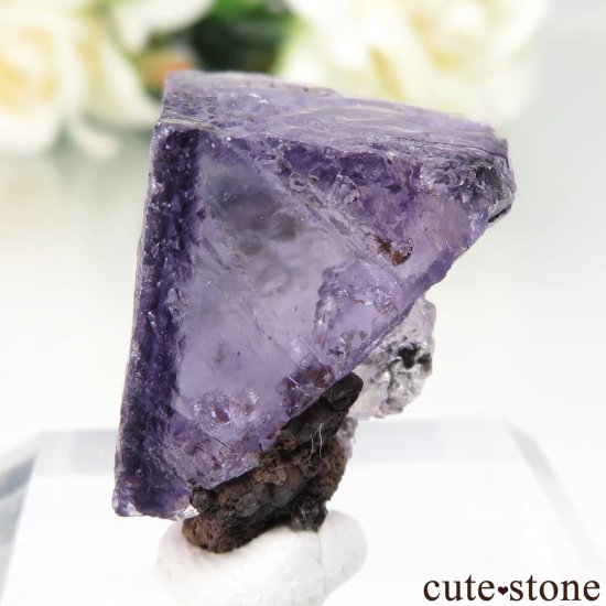 ᥭ Ojuela Mine (ϥ) ե饤Ȥθ No.13μ̿2 cute stone