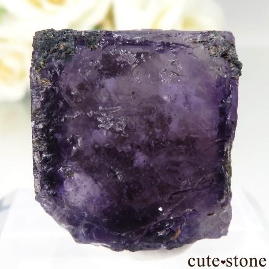 メキシコ Ojuela Mine (オハエラ)産 フローライトの原石 No.14