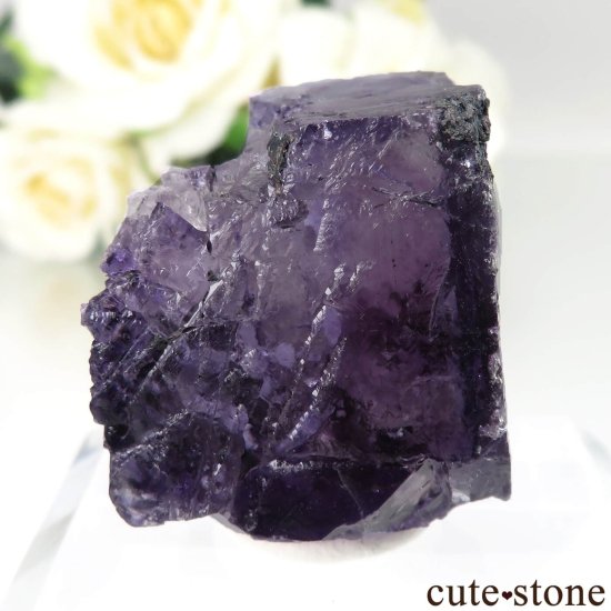 ᥭ Ojuela Mine (ϥ) ե饤Ȥθ No.14μ̿0 cute stone