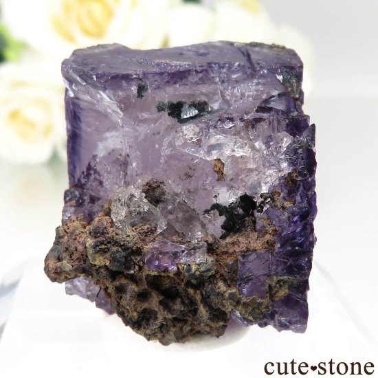 ᥭ Ojuela Mine (ϥ) ե饤Ȥθ No.14μ̿1 cute stone