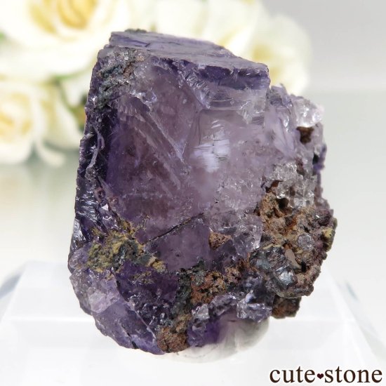 ᥭ Ojuela Mine (ϥ) ե饤Ȥθ No.14μ̿2 cute stone