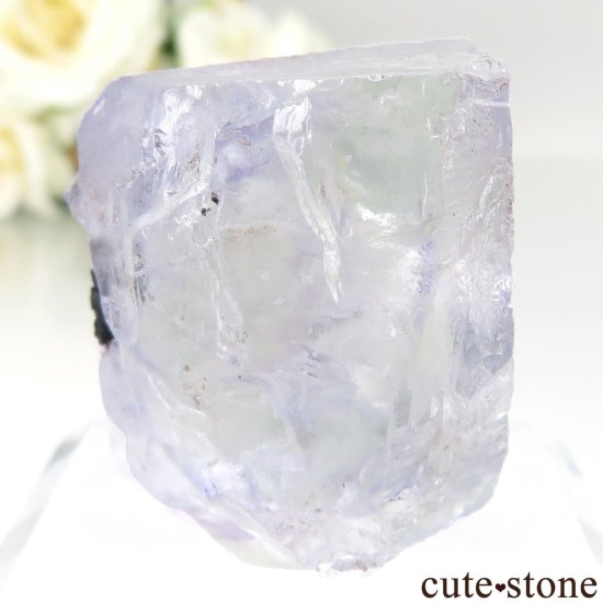 ᥭ Ojuela Mine (ϥ) ե饤Ȥθ No.15μ̿0 cute stone
