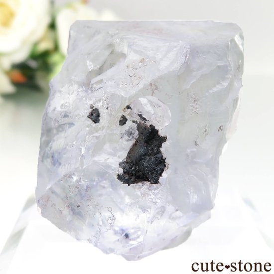 ᥭ Ojuela Mine (ϥ) ե饤Ȥθ No.15μ̿1 cute stone