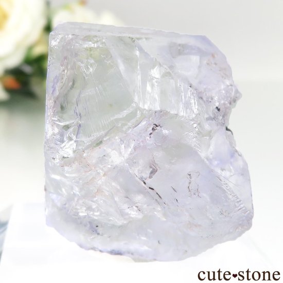 ᥭ Ojuela Mine (ϥ) ե饤Ȥθ No.15μ̿2 cute stone