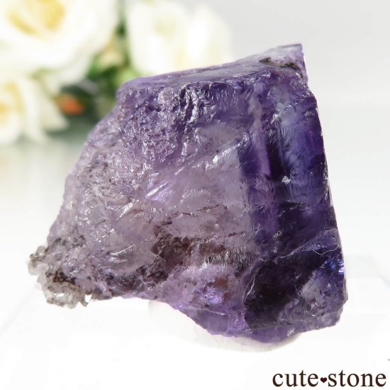 ᥭ Ojuela Mine (ϥ) ե饤Ȥθ No.16μ̿0 cute stone