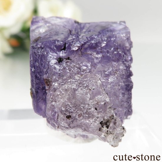 ᥭ Ojuela Mine (ϥ) ե饤Ȥθ No.16μ̿1 cute stone