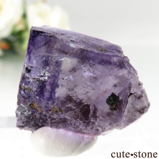ᥭ Ojuela Mine (ϥ) ե饤Ȥθ No.16μ̿2 cute stone