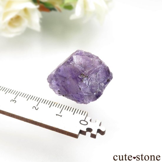 ᥭ Ojuela Mine (ϥ) ե饤Ȥθ No.16μ̿4 cute stone