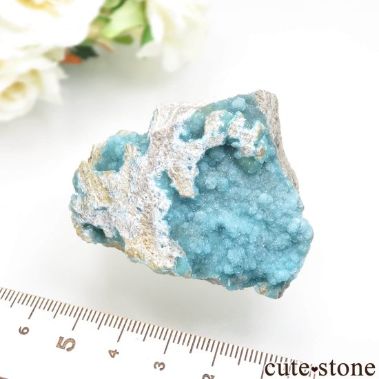  Palabanda إߥեȤθ No.10μ̿5 cute stone