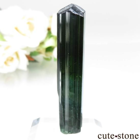 ֥饸 Aracuai ֥롼ߥ꡼ȥޥθ No.2μ̿0 cute stone