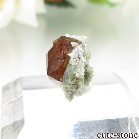 ꥫ ե˥ Bishop å顼ͥåȤθ No.1μ̿1 cute stone