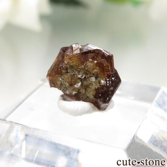 ꥫ ե˥ Bishop å顼ͥåȤθ No.5μ̿0 cute stone