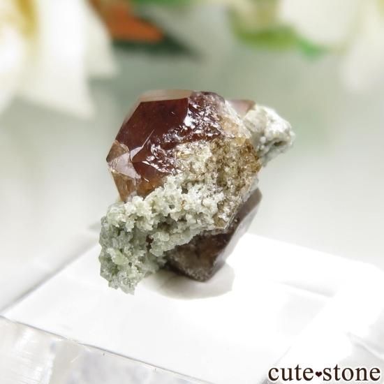 ꥫ ե˥ Bishop å顼ͥåȤθ No.6μ̿1 cute stone