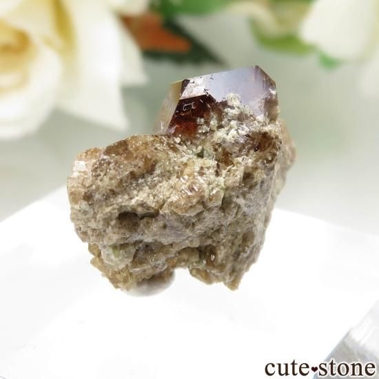 ꥫ ե˥ Bishop å顼ͥåȤθ No.8μ̿1 cute stone