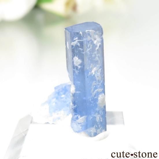 ѥ Shigar ޥθ No.37μ̿0 cute stone