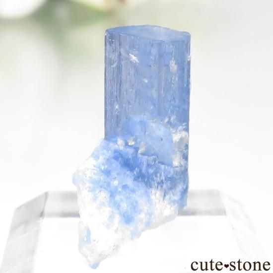 ѥ Shigar ޥθ No.37μ̿1 cute stone