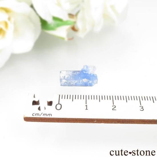 ѥ Shigar ޥθ No.37μ̿3 cute stone