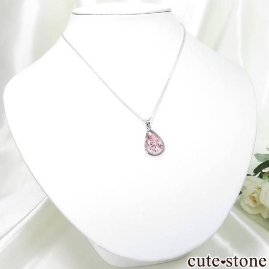  롼뻺Υե䡼ĤΥڥȥȥå No.3μ̿3 cute stone