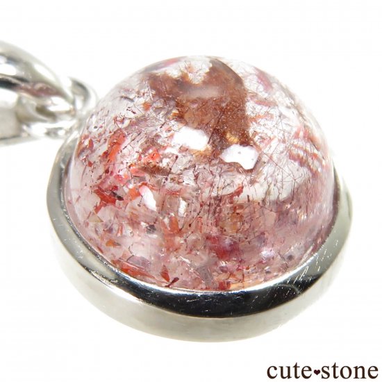  롼뻺Υե䡼ĤΥڥȥȥå No.12μ̿2 cute stone