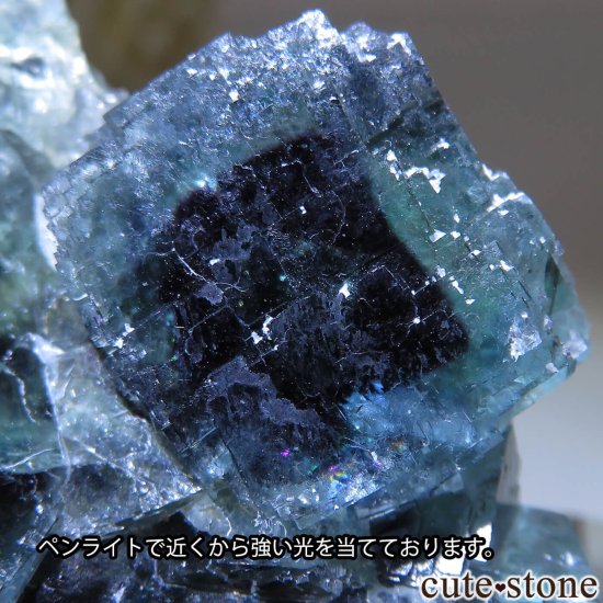 ʥߥӥ Okorusu Mine ե饤ȡĤθ No.41μ̿4 cute stone