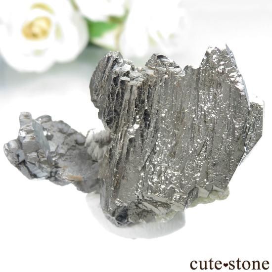 䥪󥷥 륻Υѥ饤ȡ⥹ХȤθ No.84