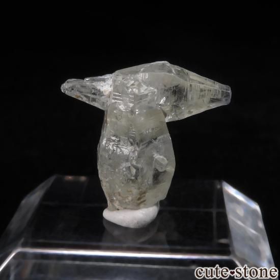  Passara եη뾽 No.1μ̿1 cute stone