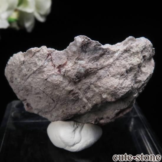 ᥭ Sonora ᥸Ȥθ No.1μ̿0 cute stone