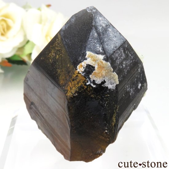 ʥߥӥ 󥴻 󥴡ϥ饤Ȥθ No.1μ̿1 cute stone