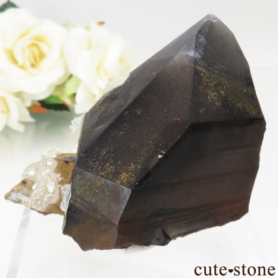 ʥߥӥ 󥴻 󥴡ϥ饤Ȥθ No.1μ̿2 cute stone