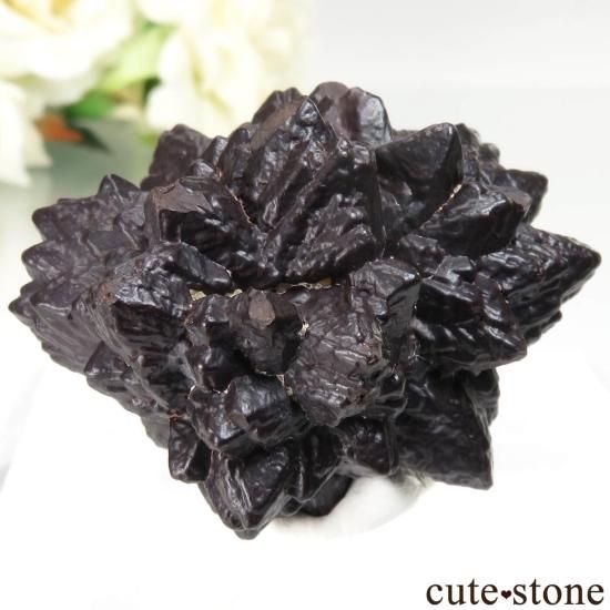  (ޡȲ˥ץȤ åȥȡ No.17μ̿1 cute stone