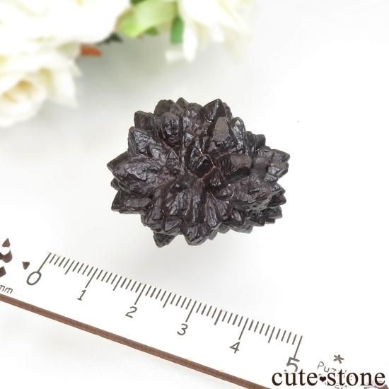  (ޡȲ˥ץȤ åȥȡ No.17μ̿3 cute stone