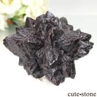  (ޡȲ˥ץȤ åȥȡ No.17β