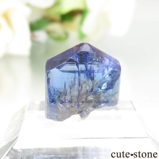 󥶥˥ Merelani Hills 󥶥ʥȤθ No.115