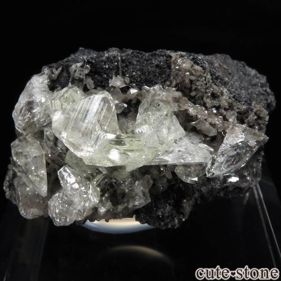 å Touissit 󥰥쥵Ȥθ No.2