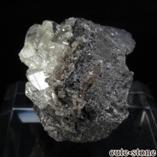 å Touissit 󥰥쥵Ȥθ No.2μ̿2 cute stone