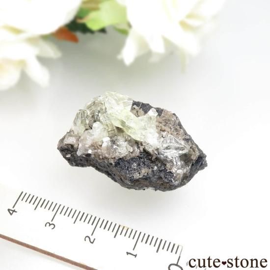 å Touissit 󥰥쥵Ȥθ No.2μ̿4 cute stone