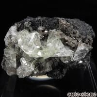 å Touissit 󥰥쥵Ȥθ No.2β