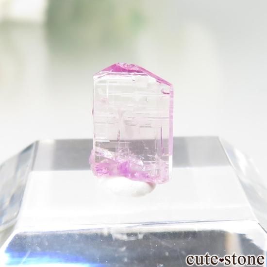 ˻ ԥ󥯥Ȥη뾽ʸСNo.116