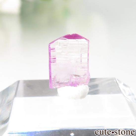 ˻ ԥ󥯥Ȥη뾽ʸСNo.116μ̿1 cute stone