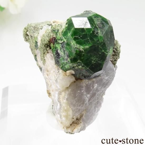  Belqeys MountainΥǥޥȥɥͥåȤθ No.27μ̿0 cute stone