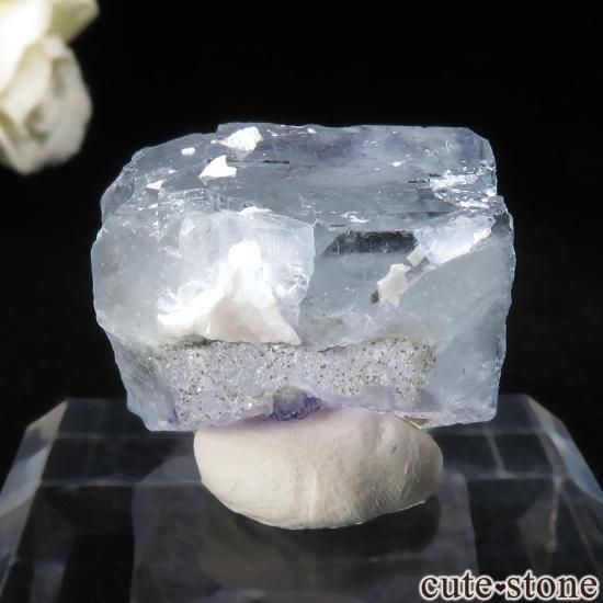䥪󥷥 ֥롼ե饤Ȥθ No.89μ̿1 cute stone