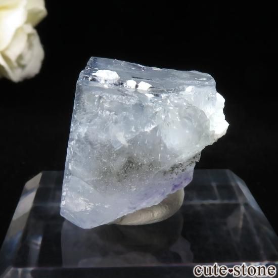 䥪󥷥 ֥롼ե饤Ȥθ No.89μ̿2 cute stone