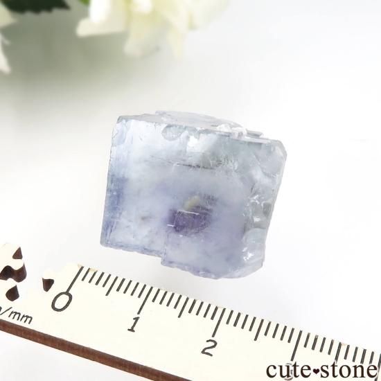 䥪󥷥 ֥롼ե饤Ȥθ No.89μ̿4 cute stone