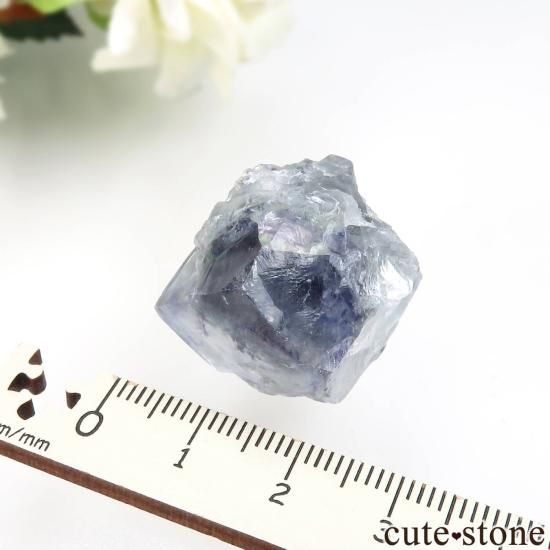 䥪󥷥 ֥롼ե饤ȡեޥȡ⥹ХȤθ No.90μ̿4 cute stone