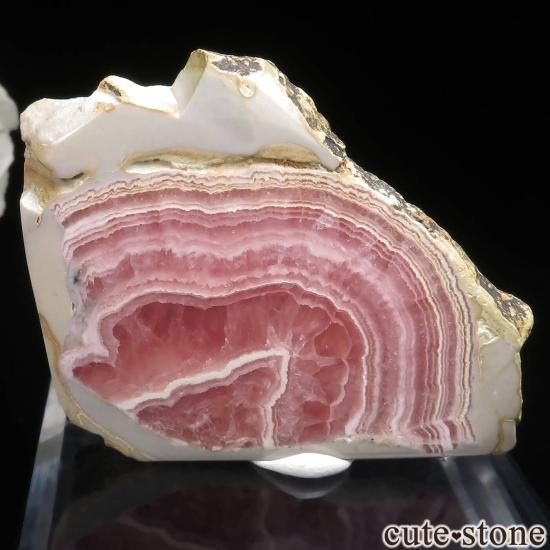 를 Capillitasɥȡʥ󥫥ˤΥ饤() No.11μ̿1 cute stone